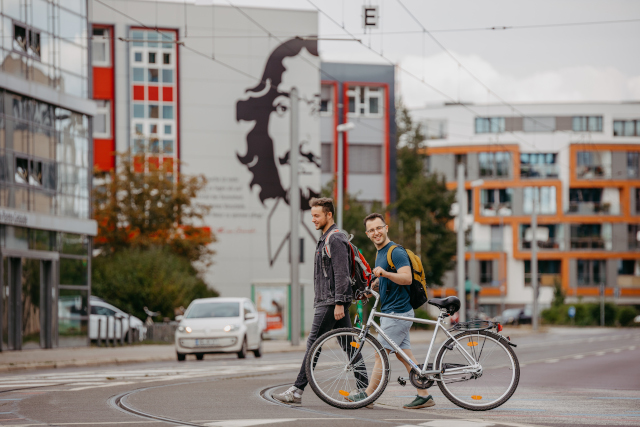 Summer term Summer term